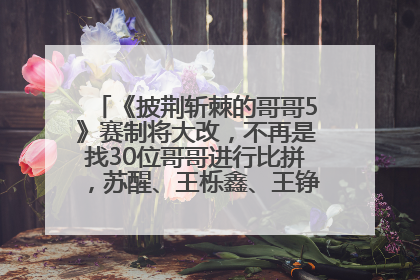 《披荆斩棘的哥哥5》赛制将大改，不再是找30位哥哥进行比拼，苏醒、王栎鑫、王铮亮、张远等多名男团选手被曝将参加