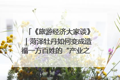 《旅游经济大家谈》｜菏泽牡丹如何变成造福一方百姓的“产业之花”“富民之花”？