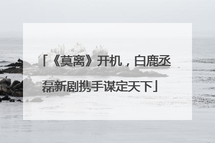 《莫离》开机，白鹿丞磊新剧携手谋定天下