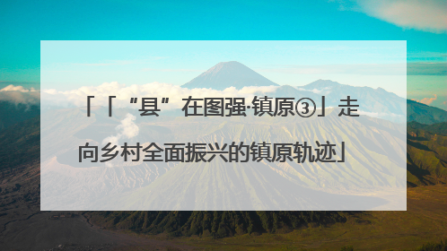 「“县”在图强·镇原③」走向乡村全面振兴的镇原轨迹