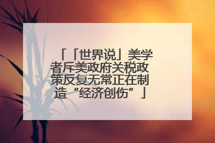 「世界说」美学者斥美政府关税政策反复无常正在制造“经济创伤”