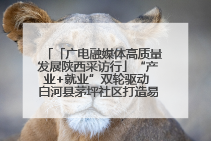 「广电融媒体高质量发展陕西采访行」“产业+就业”双轮驱动 白河县茅坪社区打造易地搬迁后扶新样本