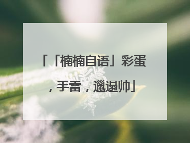 「楠楠自语」彩蛋，手雷，邋遢帅
