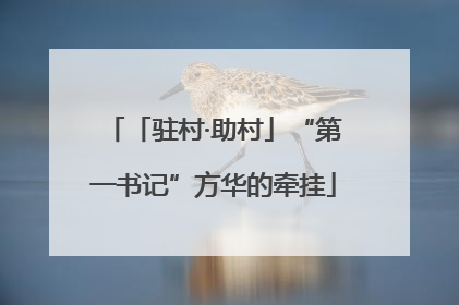 「驻村·助村」“第一书记”方华的牵挂