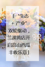 “生态 + 产业”双轮驱动，兰溪黄店开启高山西瓜丰收乐章