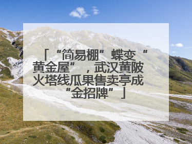 “简易棚”蝶变“黄金屋”，武汉黄陂火塔线瓜果售卖亭成“金招牌”