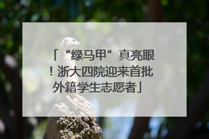 “绿马甲”真亮眼！浙大四院迎来首批外籍学生志愿者