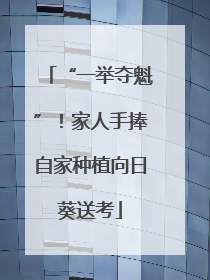 “一举夺魁”！家人手捧自家种植向日葵送考