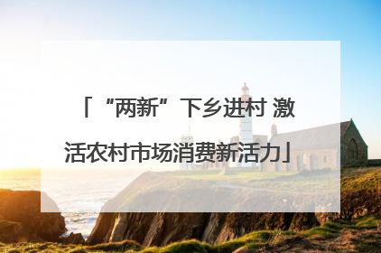 “两新”下乡进村 激活农村市场消费新活力