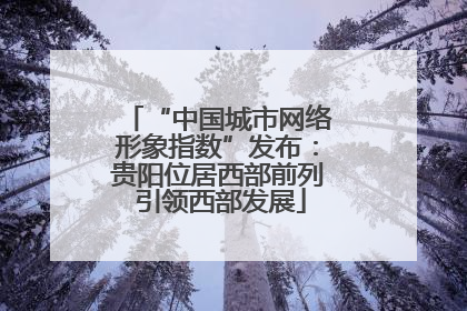 “中国城市网络形象指数”发布：贵阳位居西部前列 引领西部发展