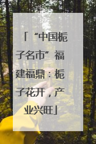 “中国栀子名市”福建福鼎：栀子花开，产业兴旺