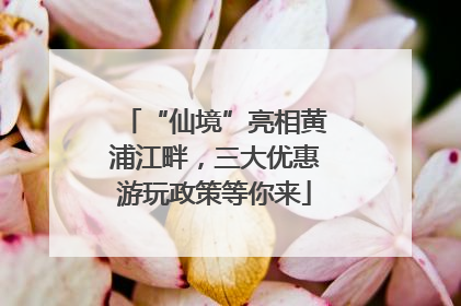 “仙境”亮相黄浦江畔，三大优惠游玩政策等你来