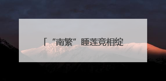 “南繁”睡莲竞相绽放 乡村振兴添色彩