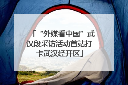 “外媒看中国”武汉段采访活动首站打卡武汉经开区
