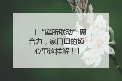 “庭所联动”聚合力，家门口的烦心事这样解！