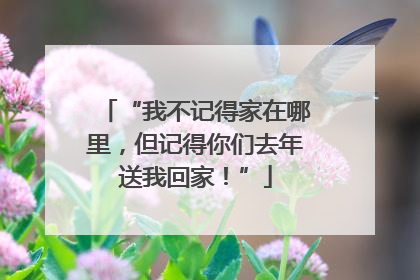 “我不记得家在哪里，但记得你们去年送我回家！”