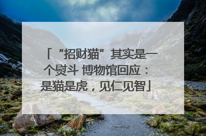 “招财猫”其实是一个熨斗 博物馆回应：是猫是虎，见仁见智