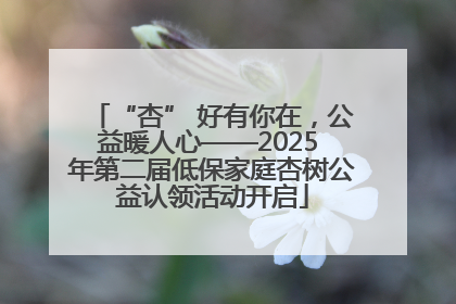 “杏” 好有你在，公益暖人心——2025 年第二届低保家庭杏树公益认领活动开启