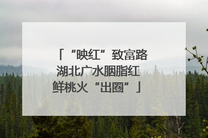 “映红”致富路 湖北广水胭脂红鲜桃火“出圈”