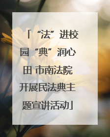 “法”进校园“典”润心田 市南法院开展民法典主题宣讲活动
