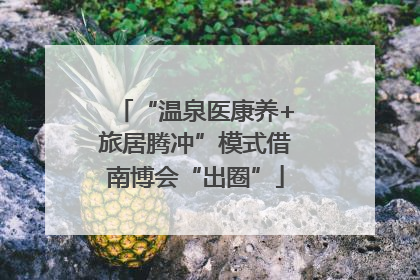“温泉医康养+旅居腾冲”模式借南博会“出圈”