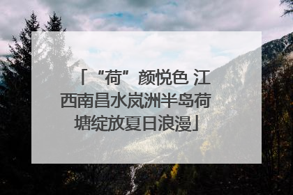 “荷”颜悦色 江西南昌水岚洲半岛荷塘绽放夏日浪漫