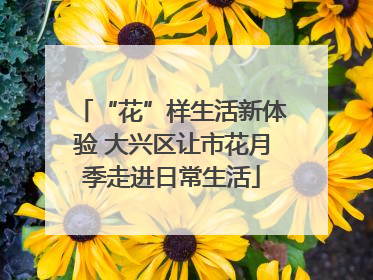“花”样生活新体验 大兴区让市花月季走进日常生活