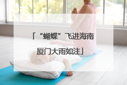 “蝴蝶”飞进海南 厦门大雨如注