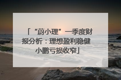 “蔚小理”一季度财报分析：理想盈利稳健 小鹏亏损收窄