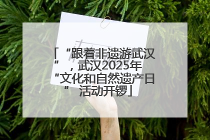 “跟着非遗游武汉”，武汉2025年“文化和自然遗产日” 活动开锣