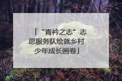 “青衿之志”志愿服务队绘就乡村少年成长画卷
