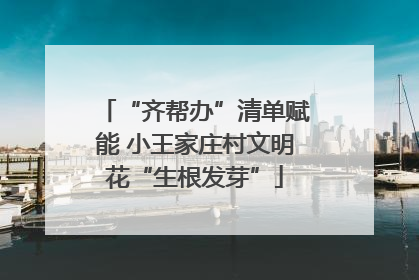 “齐帮办”清单赋能 小王家庄村文明花“生根发芽”