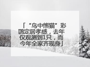 “鸟中熊猫”彩鹮定居孝感，去年仅观测到1只，而今年全家齐现身