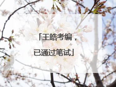 王皓考编，已通过笔试