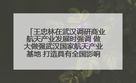 王忠林在武汉调研商业航天产业发展时强调 做大做强武汉国家航天产业基地 打造具有全国影响力的“中国星谷”