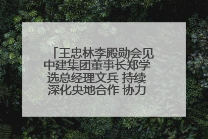 王忠林李殿勋会见中建集团董事长郑学选总经理文兵 持续深化央地合作 协力推动支点建设