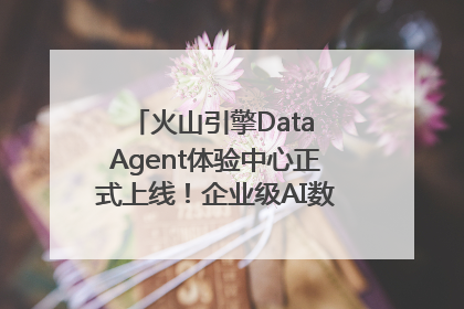 火山引擎Data Agent体验中心正式上线！企业级AI数据专家触手可及
