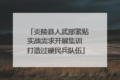 炎陵县人武部紧贴实战需求开展集训 打造过硬民兵队伍