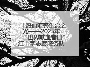 热血汇聚生命之光——2025年“世界献血者日”红十字志愿服务队在行动