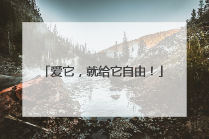 爱它，就给它自由！