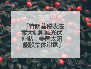 特朗普税收法案大幅削减光伏补贴，美国太阳能股集体崩盘