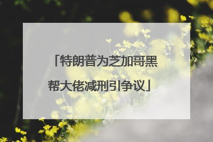 特朗普为芝加哥黑帮大佬减刑引争议