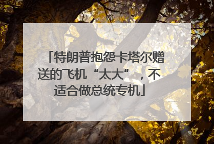 特朗普抱怨卡塔尔赠送的飞机“太大”，不适合做总统专机