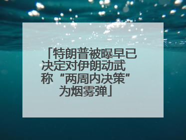 特朗普被曝早已决定对伊朗动武 称“两周内决策”为烟雾弹