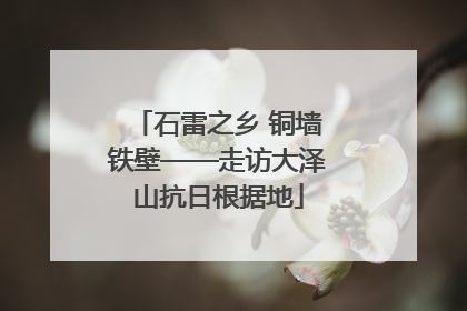 石雷之乡 铜墙铁壁——走访大泽山抗日根据地