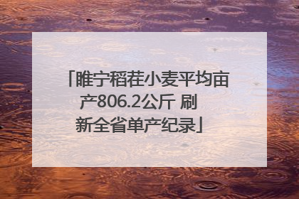 睢宁稻茬小麦平均亩产806.2公斤 刷新全省单产纪录
