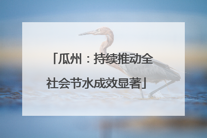 瓜州：持续推动全社会节水成效显著