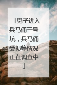 男子进入兵马俑三号坑，兵马俑受损等情况正在调查中