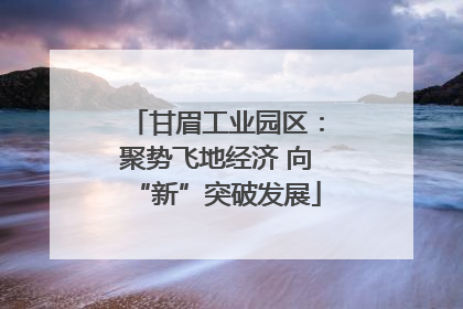 甘眉工业园区：聚势飞地经济 向“新”突破发展