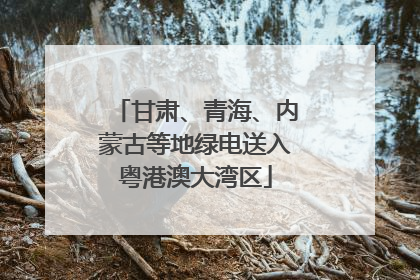 甘肃、青海、内蒙古等地绿电送入粤港澳大湾区